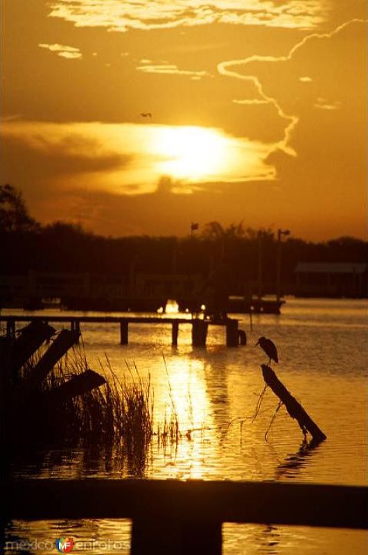 AMANECER EN LA PESCA