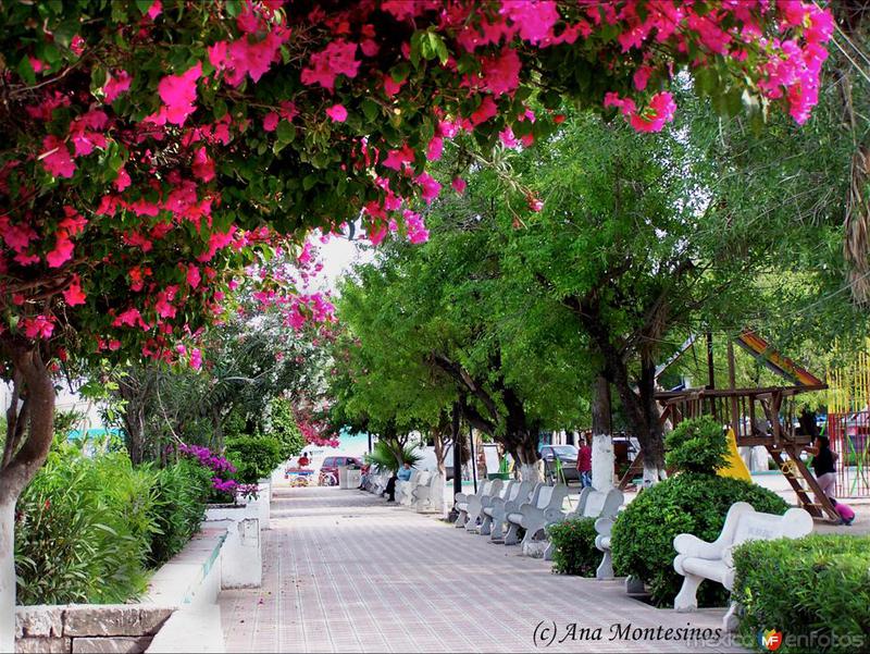 Plaza de Miguel Alemàn