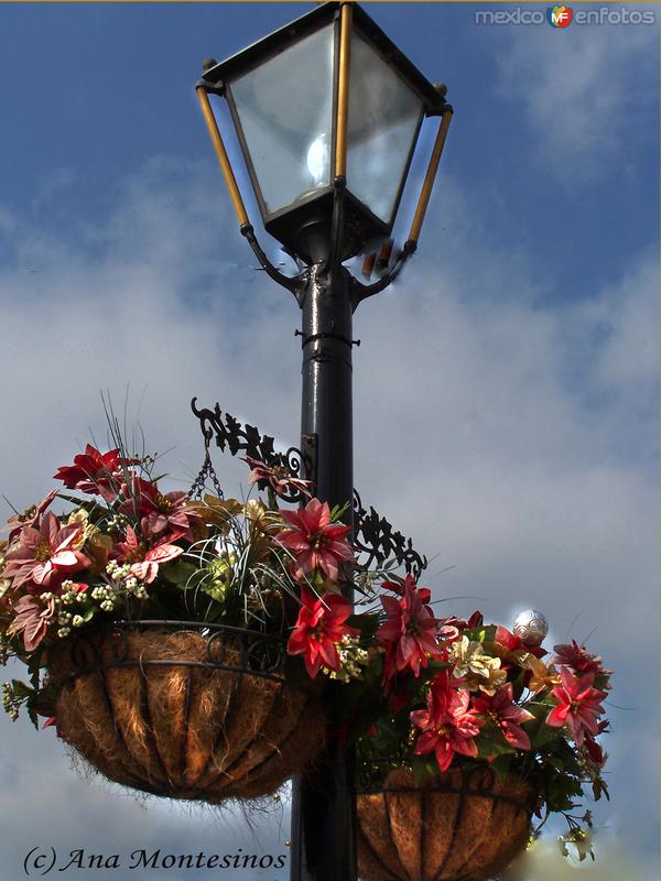 Farolas de la calle Hidalgo