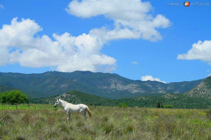 Paisajes de Galeana