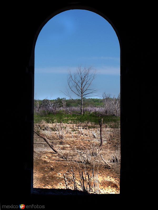 Vista desde una ventana del colegio