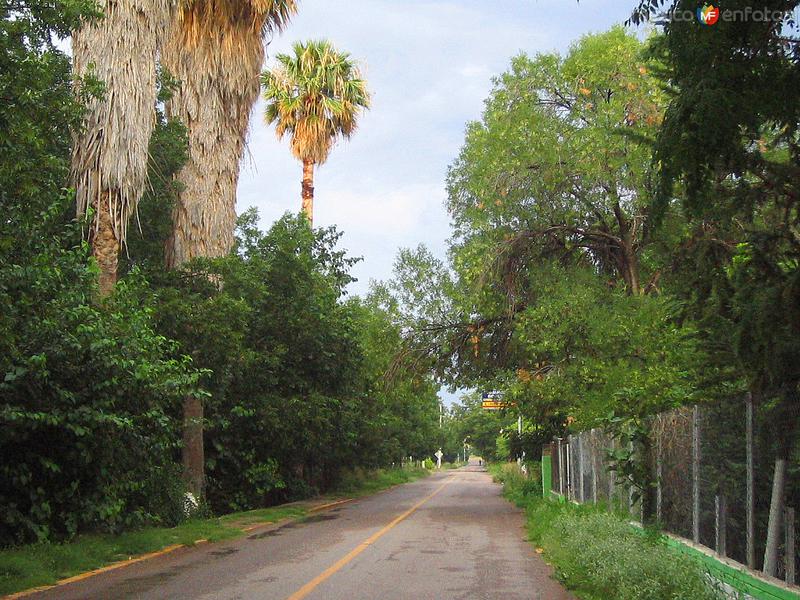 Calles y caminos de San Francisco de Conchos