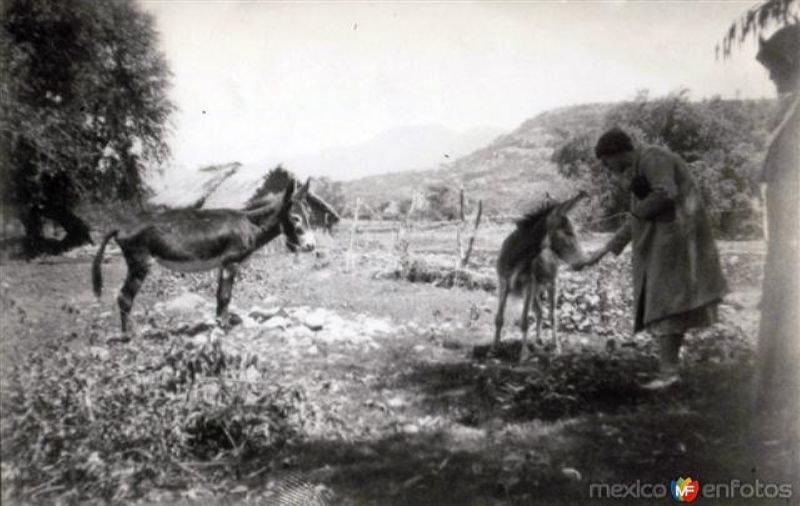 Imágen rural