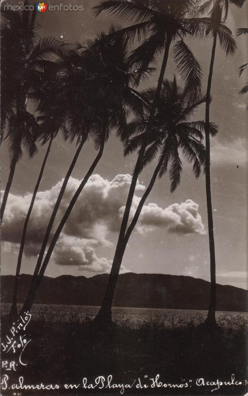 Playas de Acapulco