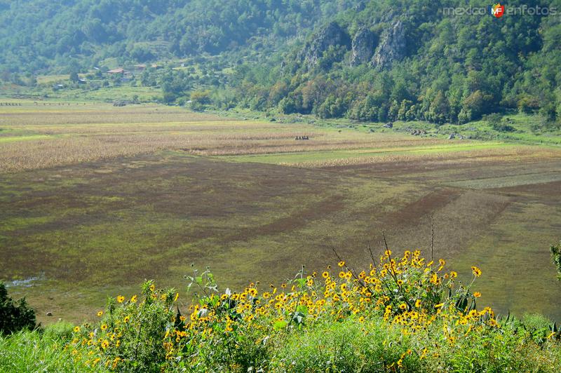 LAGUNA DE SANCHEZ