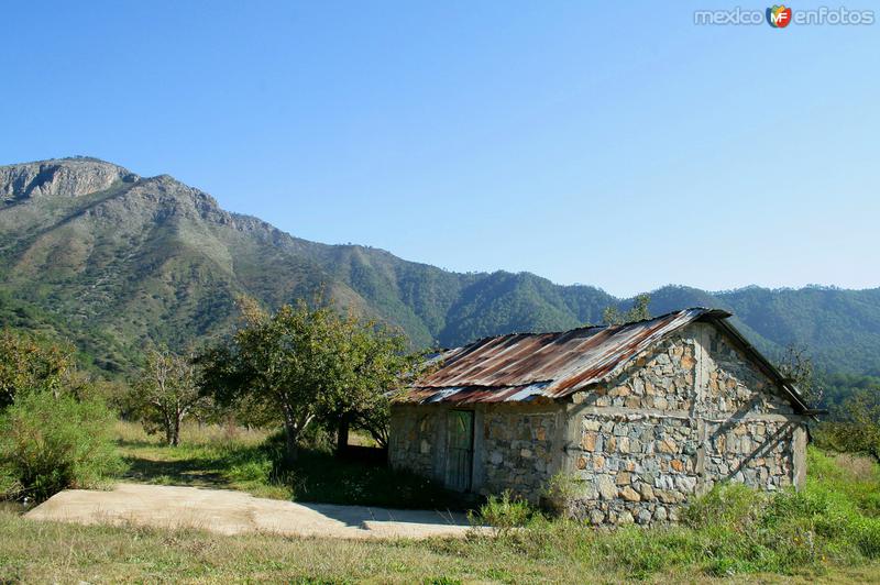 CASAS DEL TEJOCOTE