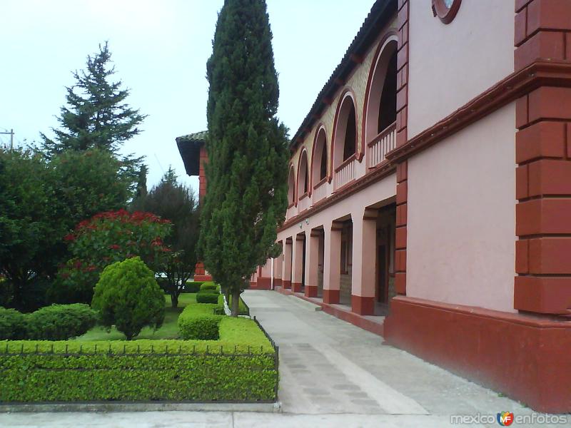 Jardin de la escuela Avila Camacho