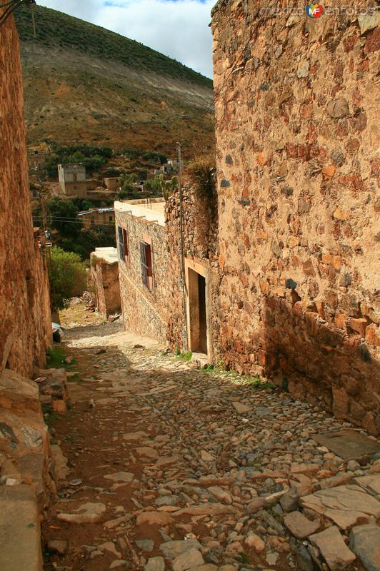 REAL DE CATORCE