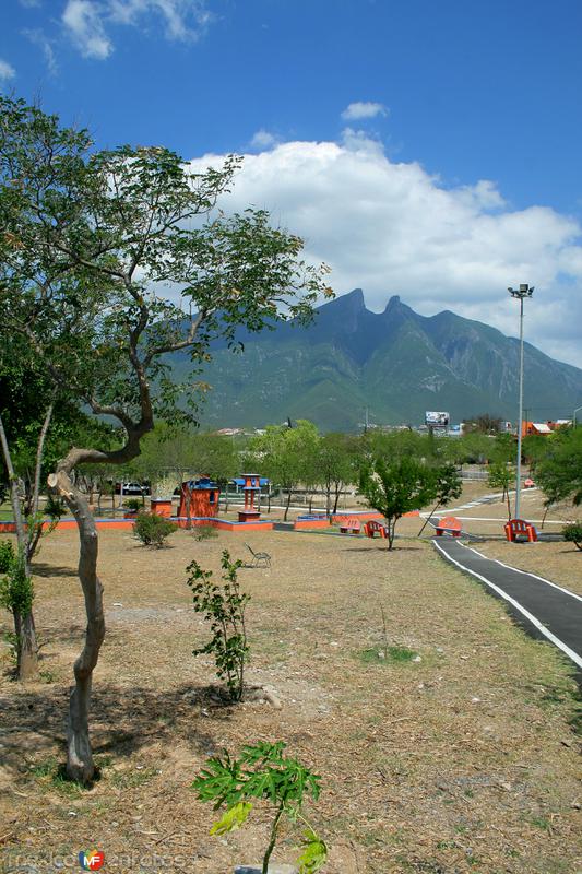 CERRO DE LA SILLA