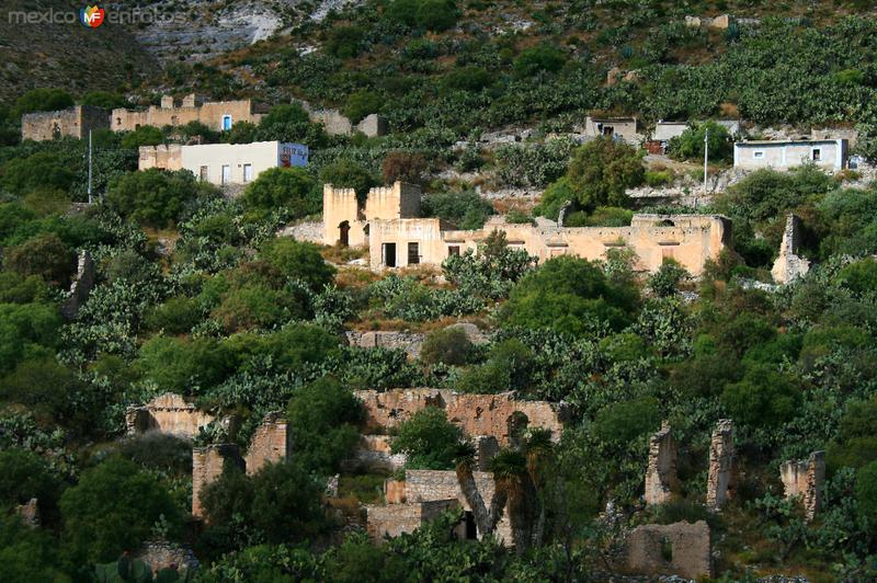 CAMINO A REAL DE CATORCE