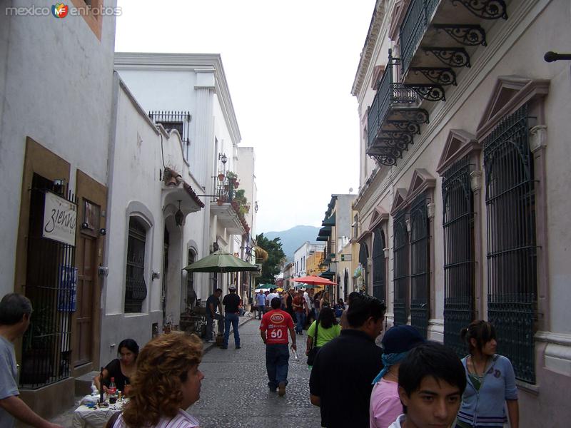 callejon cultural "barrio antiguo de monterrey" callejon cultural "barrio antiguo de monterrey"