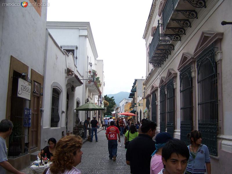 callejon cultural "barrio antiguo de monterrey"