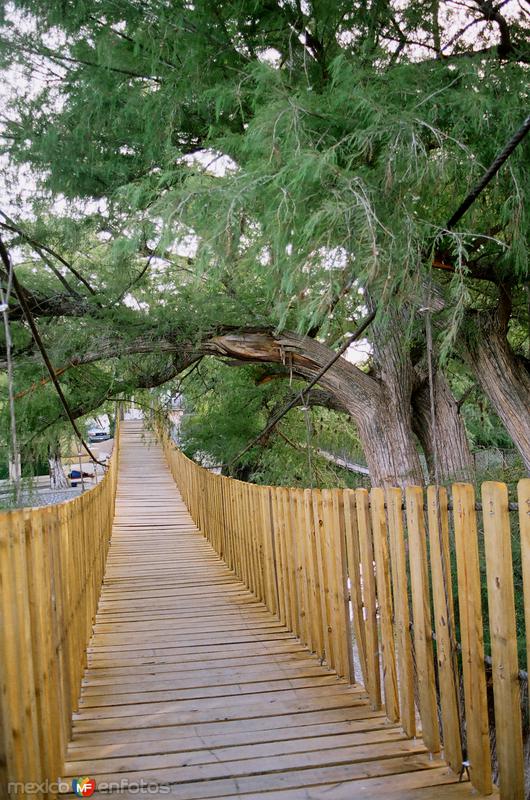 PUENTE COLGANTE NUEVO