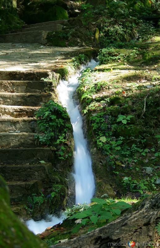 PARQUE RECREATIVO EL SALTO