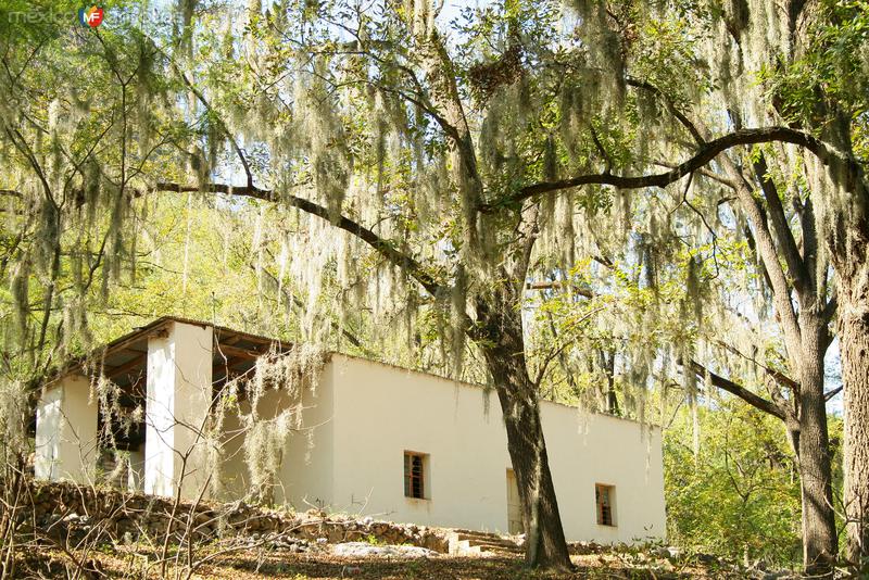 CASA ENTRE ARBOLES EN ARAMBERRI