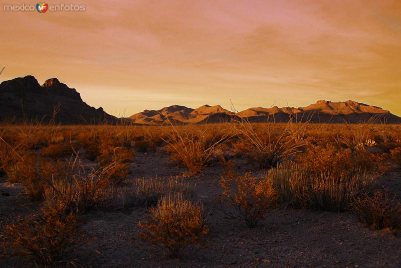 Una noche en el desierto