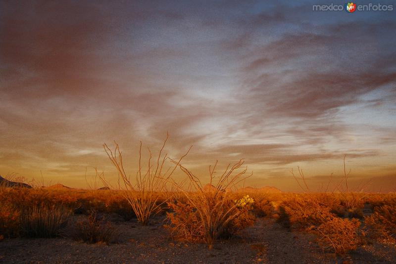 Atardecer en Mapimí