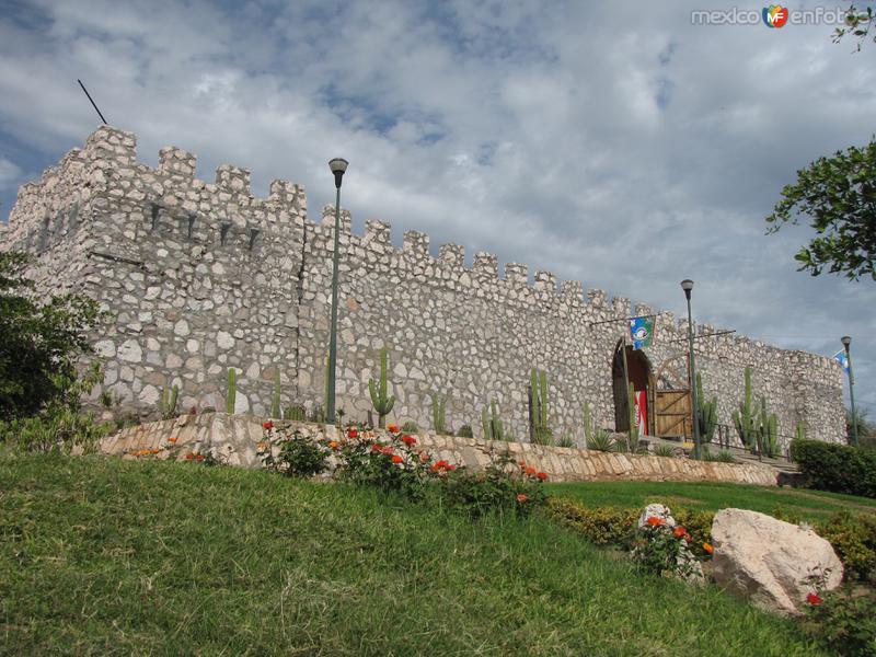 Fuerte de Montes Claros