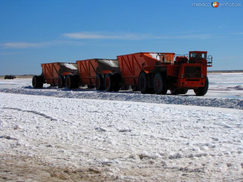 Transportación de la sal