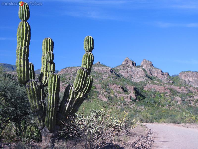 Sierra de la Giganta