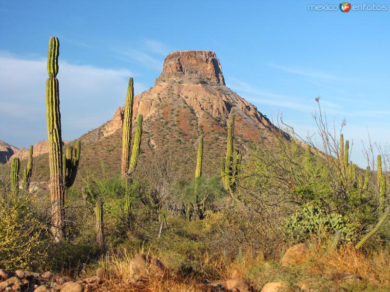 Cerro del Pilón