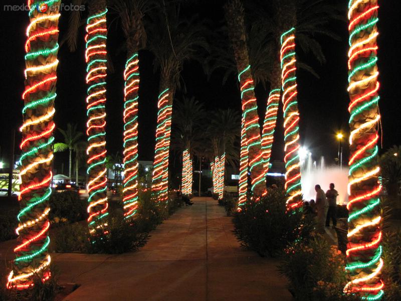 Luz y color en la plaza del Palacio de Gobierno