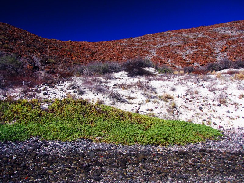 Capas de colores en la playa de la Balandra