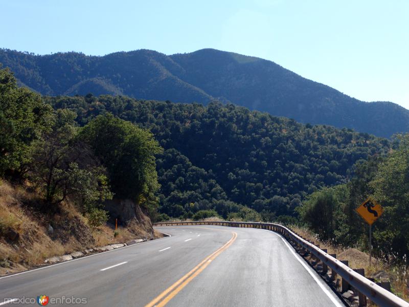 Sierra de Sonora (Sierra Madre Occidental)