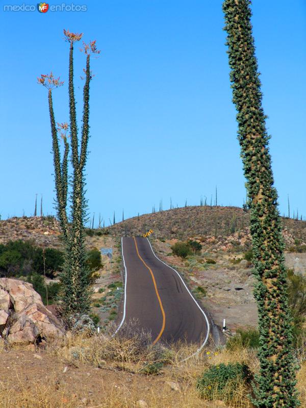 Carretera Transpeninsular (México - 1)