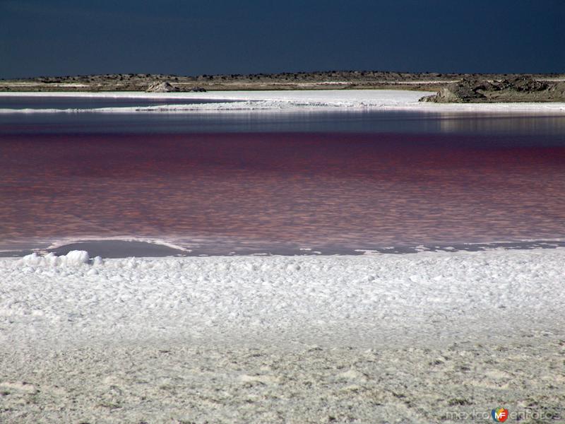 Salinas: Vasos de evaporación