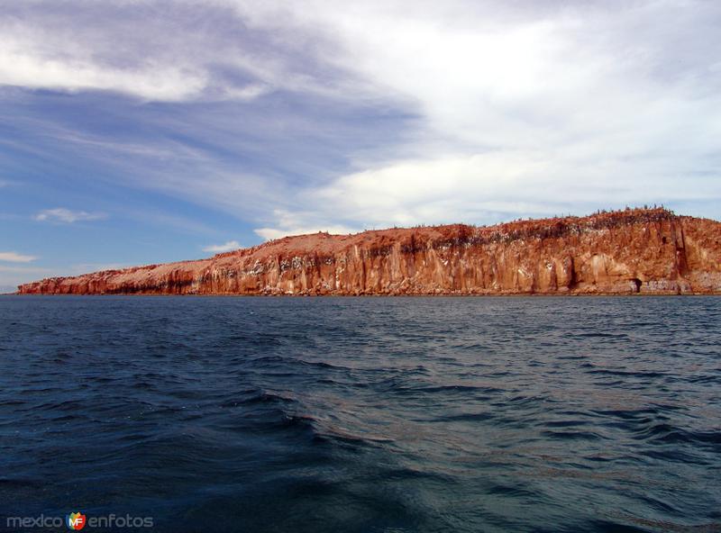 Isla Ballena - Isla Espíritu Santo, Baja California Sur