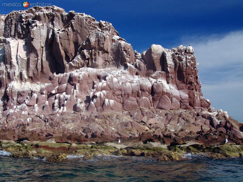 Colonia de Lobos Marinos