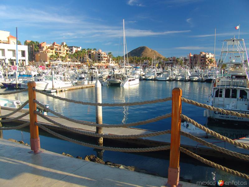 Marina de Cabo San Lucas