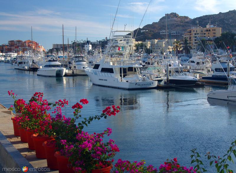 Marina de Cabo San Lucas