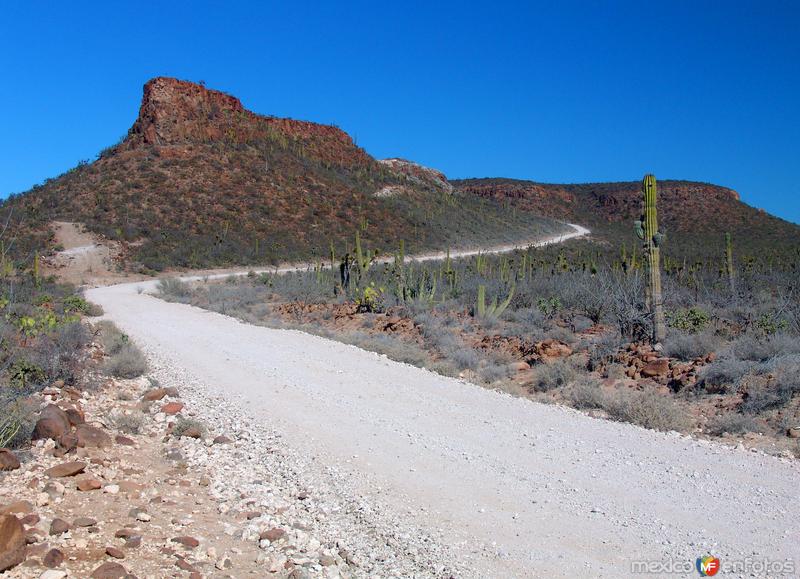 Camino a San Francisco de la Sierra