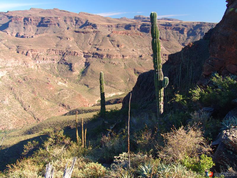 Sierra de San Francisco