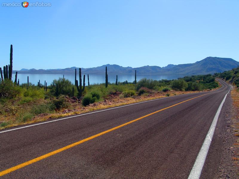 Carretera Transpeninsular (México - 1)