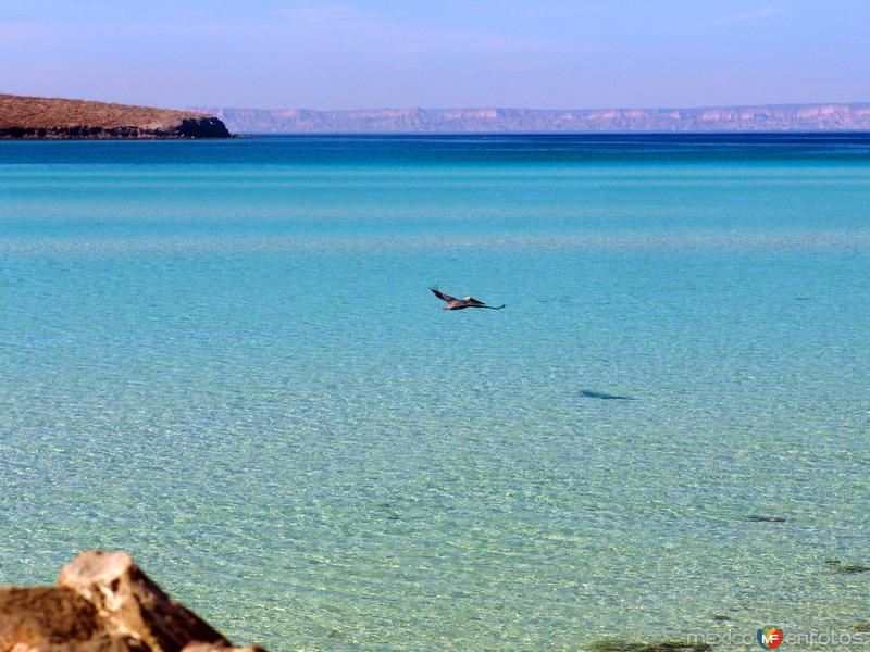 Playa de la Balandra