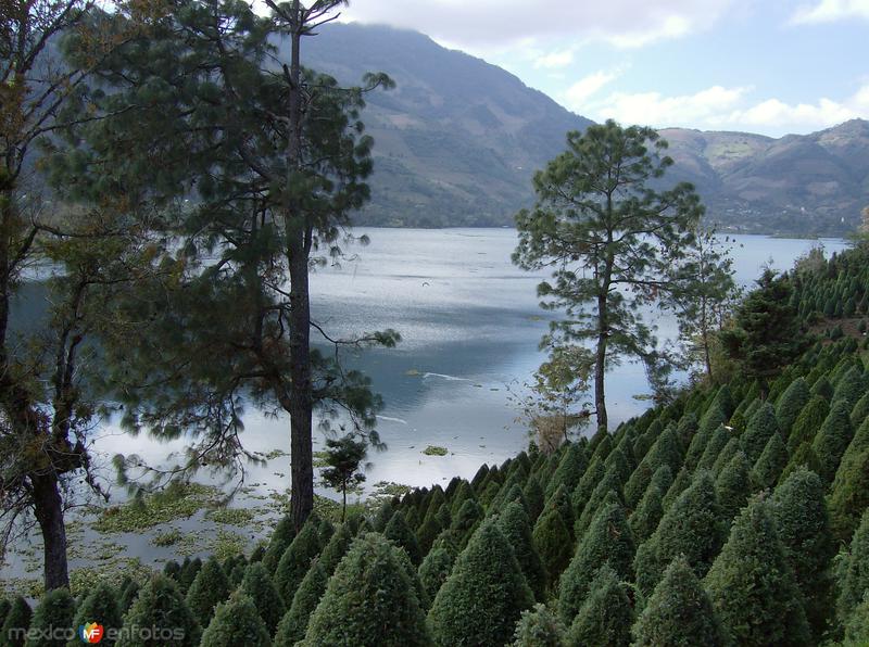 panoramica de la presa