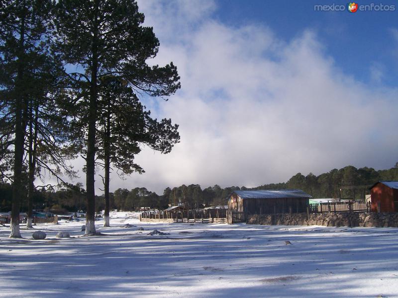 CAMPANA EJIDO NEVADO