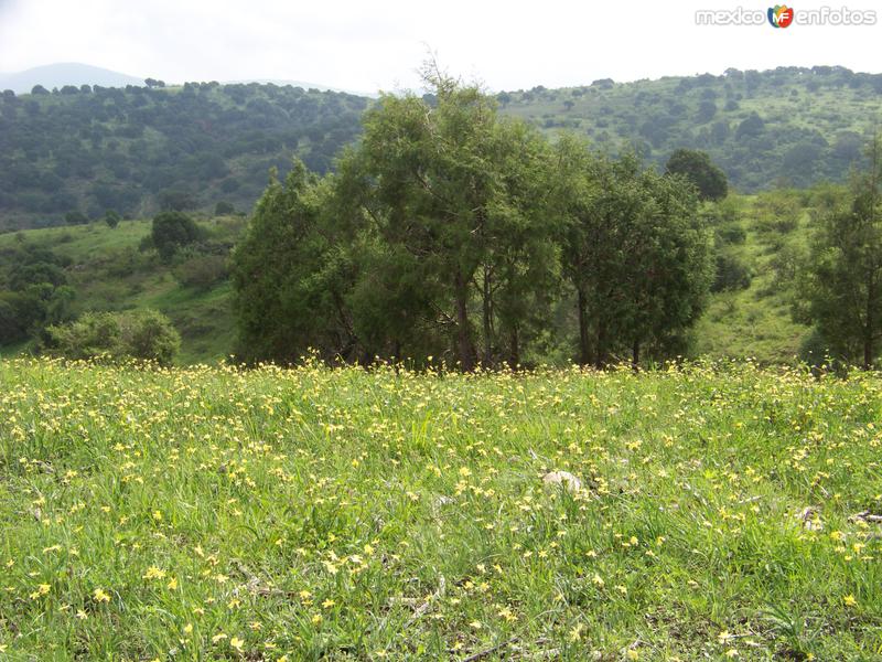 Paisaje, Col Lagunillas