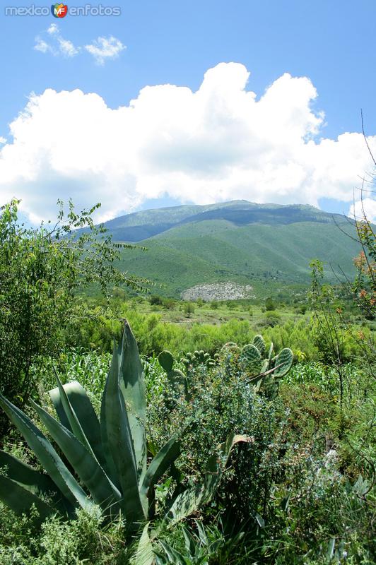 CERRO DEL POTOSI