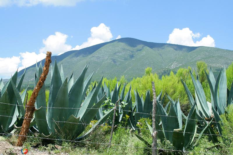 CERRO DEL POTOSI