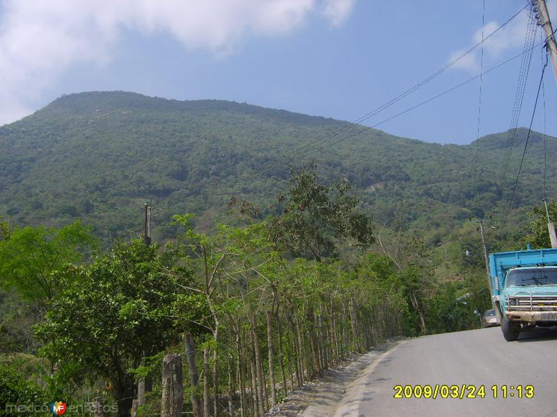 Camino hacia Nuevo Tepetzintla