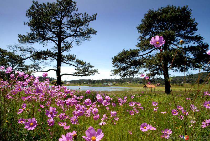 Paraiso de la Sierra