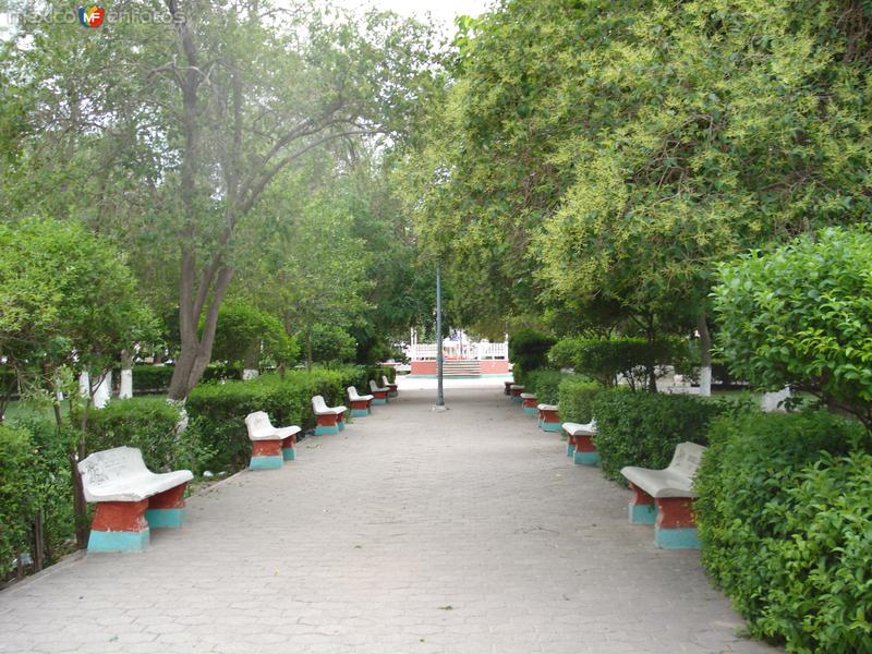 Plaza principal de Aldama Chihuahua