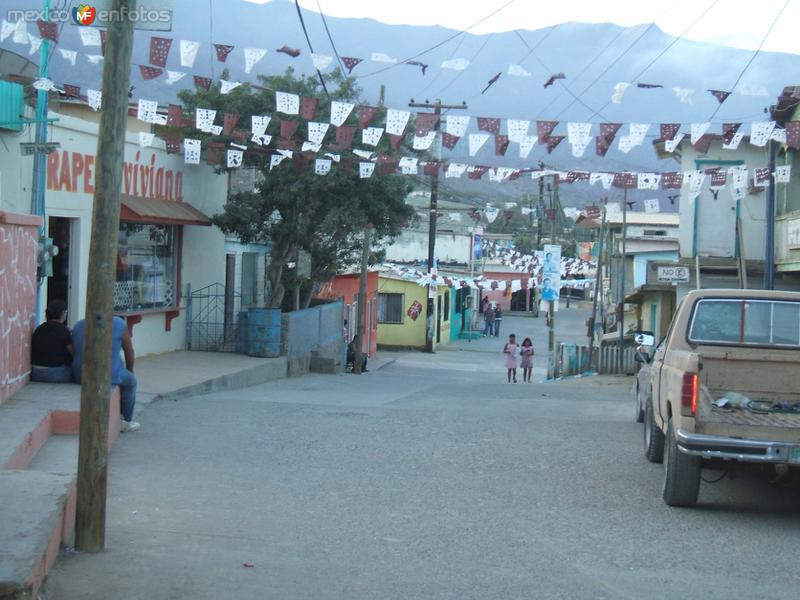 Isla de Cedros