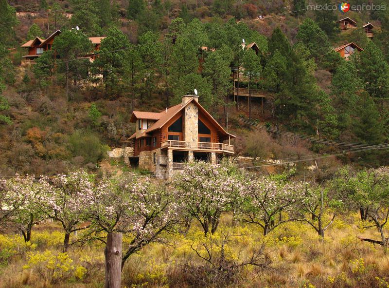 CABAÑAS DE MONTERREAL