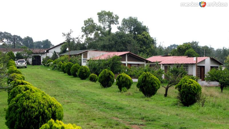 Cabañas los Jilgueros - Zacatlán