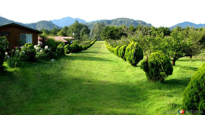 Cabañas los Jilgueros - Zacatlán